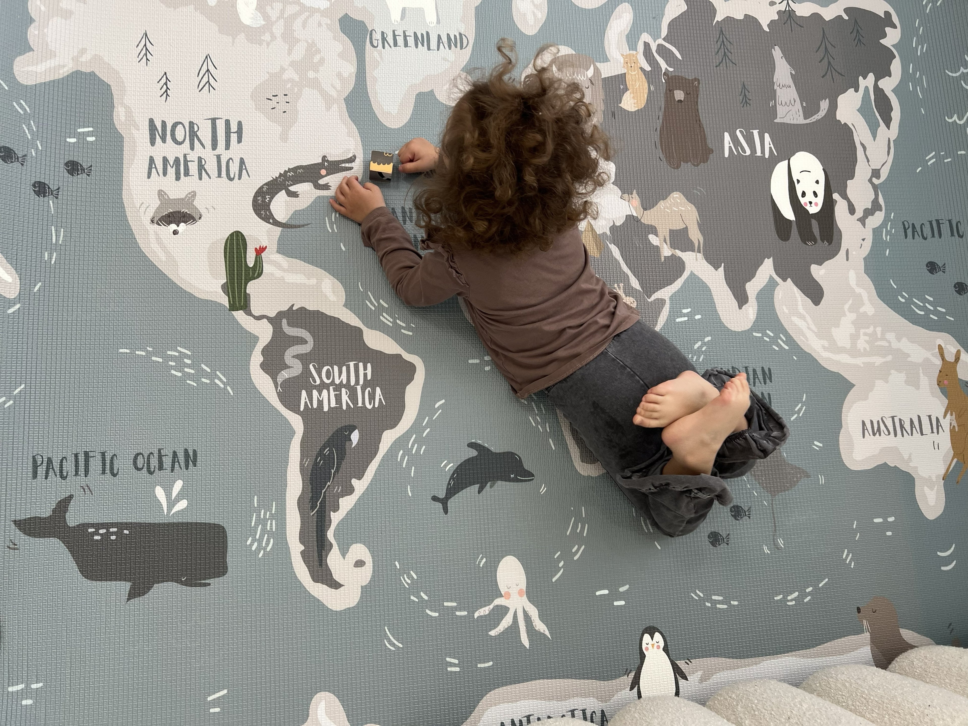 LIZY KIDS® Welt & Linien